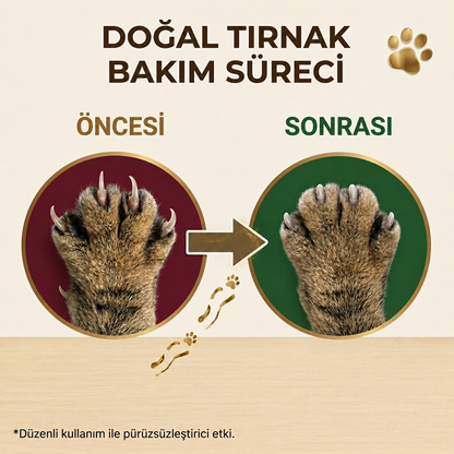 PatiKüp Tırnak Törpüleme Kutusu